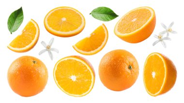 Taze portakallar, yeşil yapraklar ve çiçekler beyaz üzerine izole edilmiş.