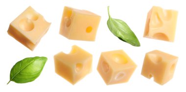 Peynir küpleri ve yeşil fesleğen yaprakları beyaz, hazır.