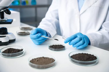 Bilim adamı, laboratuardaki beyaz masada araştırma yapmak için toprak örneği alıyor.