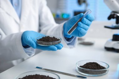 Petri kabı ve test tüpünü elinde tutan bilim adamı, kapalı alanda, beyaz masada toprak örnekleri ile, yakın çekim