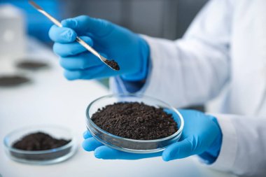 Bilim adamı, laboratuardaki beyaz masada araştırma yapmak için toprak örneği alıyor.