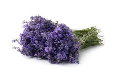 Beyaz bir demet güzel lavanta çiçeği