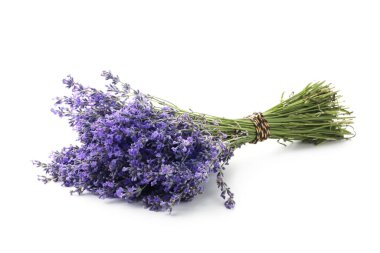 Beyaz bir demet güzel lavanta çiçeği