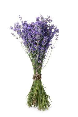 Beyaz bir demet güzel lavanta çiçeği