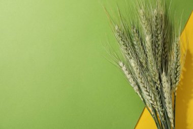 Arkaplanda yeşil buğday sivri uçlu, düz bir zemin. Metin için boşluk
