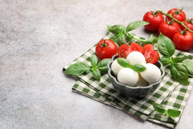 Lezzetli mozzarella peynir topları, domates ve fesleğen, yakın plan. Metin için boşluk