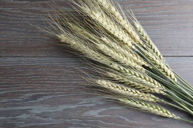 Tahta masadaki yeşil buğday çivileri düzdü. Metin için boşluk