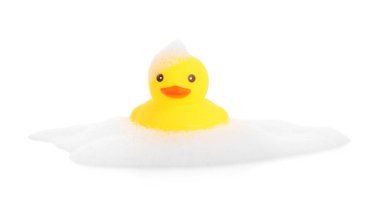 Beyaz bir ördek ve köpük.