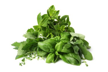 Beyazlara ayrılmış farklı taze yeşil otlar.