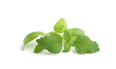 Beyazlara ayrılmış farklı taze yeşil otlar.