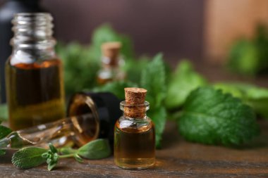 Ahşap masada gerekli yağ ve bitkiler, yakın plan.