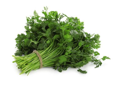 Bir grup taze kişniş beyaz üzerine izole edilmiş.