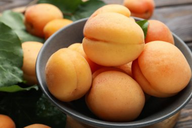 Masada taze kayısılar, yakın plan.