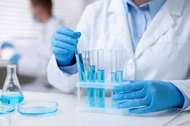 Tıbbi analiz. Laboratuvarda numunelerle çalışan bilim adamı, seçici odaklanma