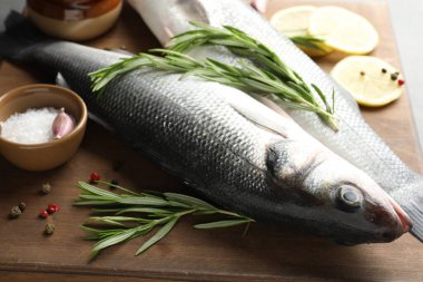 Baharatlı taze çiğ deniz kabuğu, yakın plan. Balık ve deniz ürünleri lezzetleri