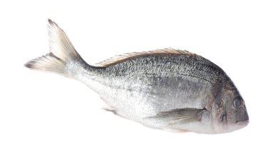 Beyaza izole edilmiş taze çiğ dorado balığı. Organik deniz ürünleri