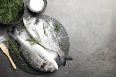 Organik deniz ürünleri. Taze çiğ dorado balığı, gri masada tuz ve dereotu, düz. Metin için boşluk