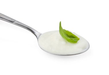 Kaşık içinde fesleğenli yoğurt, beyaz üzerine izole edilmiş.