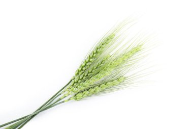 Birçok yeşil buğday başakları beyaz, üst görünümde izole