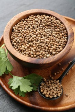 Kase içinde kişniş tohumları, kaşık ve taze kişniş yaprakları koyu dokulu masa, yakın çekim