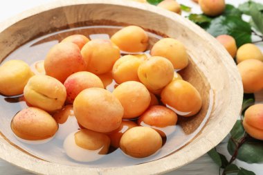 Taze kayısılar kasede su ve yeşil yapraklar, yakın plan.