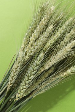 Yeşil arka planda güzel buğday çivileri, üst manzara