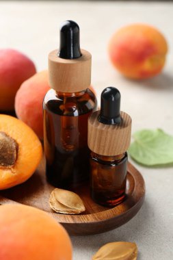 Yağ şişeleri, taze kayısılar ve çekirdekler açık gri masada, yakın plan.