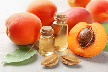 Yağ şişeleri, taze kayısılar, çekirdekler ve açık gri masada yeşil yaprak, yakın plan.