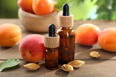 Şişe, tohum, yaprak ve olgun kayısılarda, ahşap masada, bulanık yeşil arka planda, yakın planda, Aromatik gerekli yağ