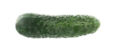 Bir taze yeşil salatalık beyaza izole edilmiş.