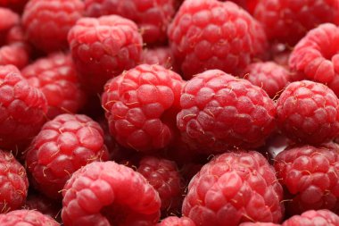 Many fresh ripe raspberries as background, closeup