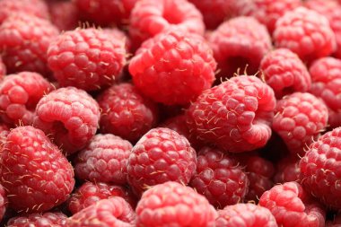 Many fresh ripe raspberries as background, closeup