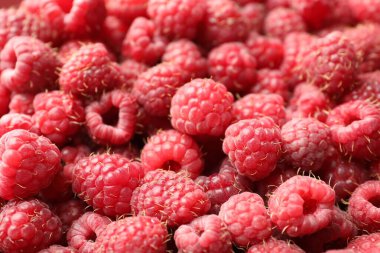 Many fresh ripe raspberries as background, closeup