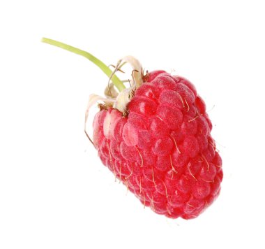 Taze olgun bir ahududu beyaza izole edilmiş.