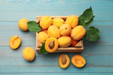 Açık mavi ahşap masa üzerinde kayısı kokulu, nefis, olgun kayısılar.