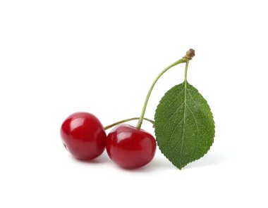Lezzetli kırmızı kirazlar beyazda izole edilmiş.