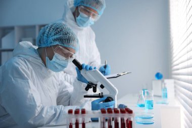 Tıbbi analiz. Laboratuvarda numuneyle çalışan iki bilim adamı.