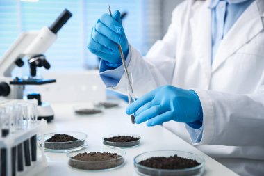 Bilim adamı, laboratuardaki beyaz masada araştırma yapmak için toprak örneği alıyor.