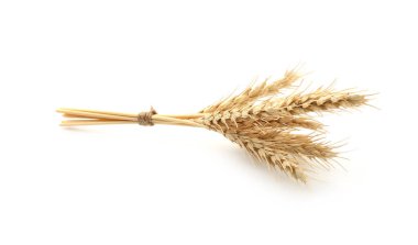 Kurumuş buğday başakları beyaza izole edilmiş.