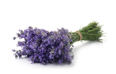 Beyaz bir demet güzel lavanta çiçeği