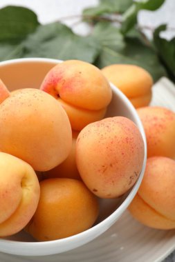 Masada taze kayısılar, yakın plan.