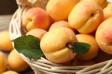 Hasır sepetteki taze kayısılar masada, yakın plan.