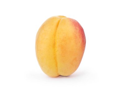 Taze olgun bir kayısı beyazda izole edilmiş.