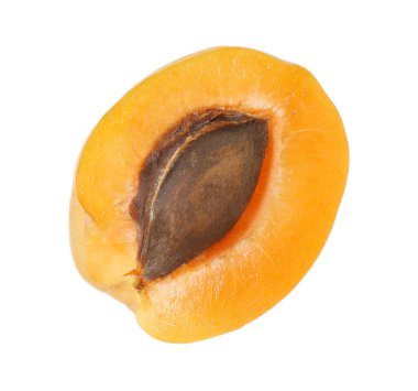 Taze olgun kayısı çekirdeği beyaza izole edilmiş