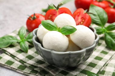 Lezzetli mozzarella peynir topları, domates ve fesleğen, yakın plan.