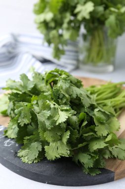 Işık masasında taze yeşil kişniş, yakın plan.