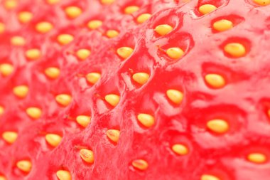 Arka plan olarak taze olgun çilek, makro görünüm