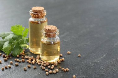 Şişelerdeki Aromatik yağlar, kişniş yaprakları ve kişniş tohumları koyu dokulu masa, yakın çekim. Metin için boşluk