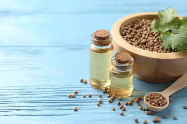 Şişelerde romatik yağ, kişniş yaprakları, açık mavi ahşap masada kişniş tohumları, yakın plan. Metin için boşluk