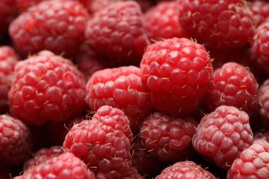 Many fresh ripe raspberries as background, closeup